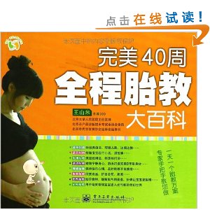 完美40周全程胎教大百科(全彩)