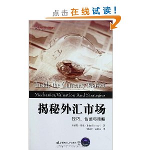 揭秘外汇市场:技巧、估值与策略(引进版)