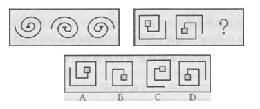 ����Ա����