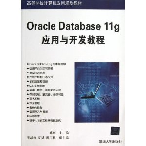 Oracle Database11g应用与开发教程(高等学校计算机应用规划教材)