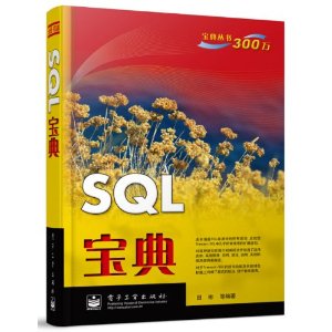 SQL宝典