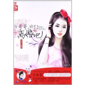 飞言情合集系列丛书:哥哥我们离婚吧