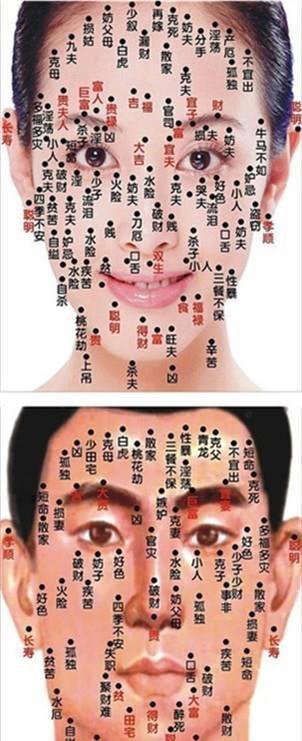 䳤ͼ