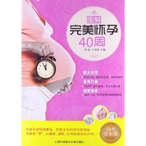 图解完美怀孕40周(4色全彩版)