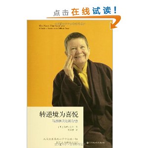 转逆境为喜悦:与恐惧共处的智慧