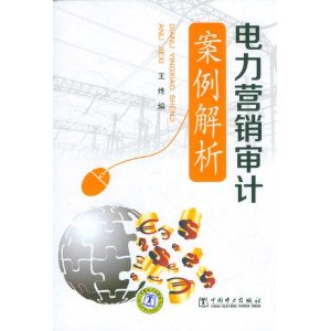 电力营销审计案例解析