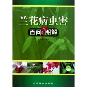 溦ͼ