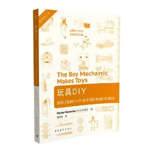 低科技丛书·玩具DIY:给孩子们的114个动手制作的娱乐项目