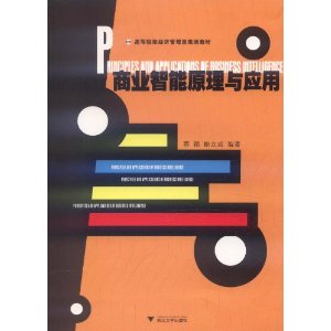 商业智能原理与应用