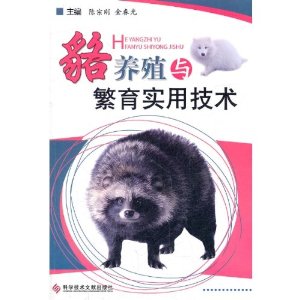 ֳ뷱ʵü