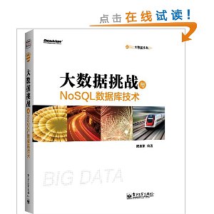 大数据丛书:大数据挑战与NoSQL数据库技术