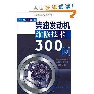 ͷά޼300