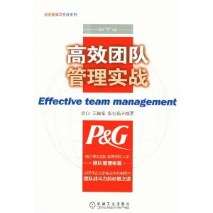 ��Ч�Ŷӹ���ʵս