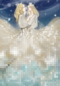 ˫