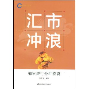 汇市冲浪:如何进行外汇投资