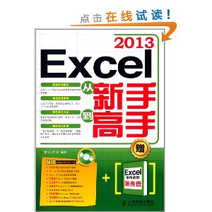 Excel 2013从新手到高手