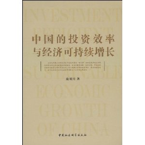 中国的投资效率与经济可持续增长