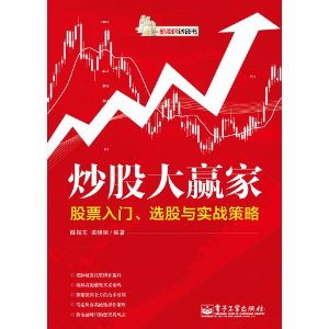 炒股大赢家:股票入门、选股与实战策略