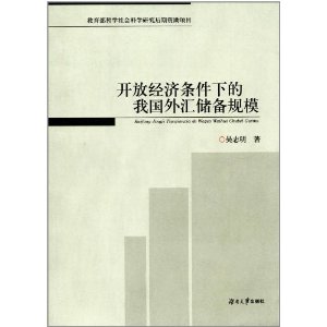 开放经济条件下的我国外汇储备规模