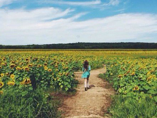 五行属土的女孩该如何取名?