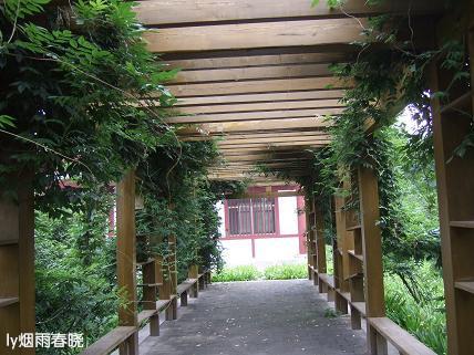 诗意生活:行走在洛阳隋唐遗址植物园作文