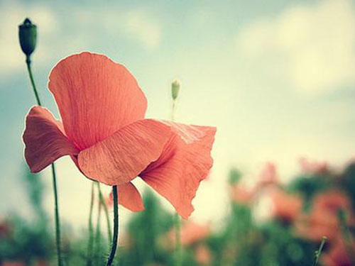 2017男宝宝取名技巧