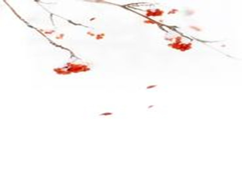 百家姓中的姓包大人物——包青天