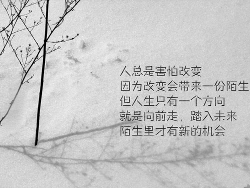 ������ۼ��Ů������