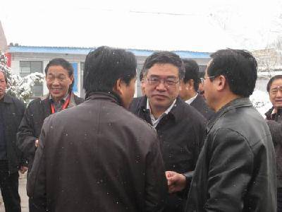 岁月对种子的承诺作文