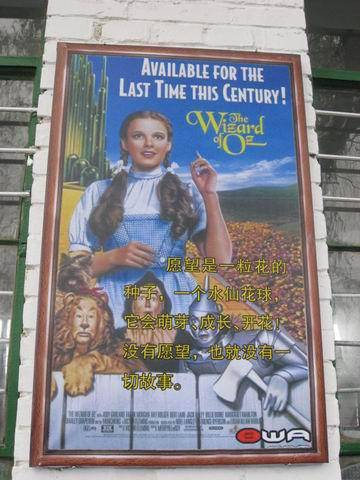 岁月对种子的承诺作文