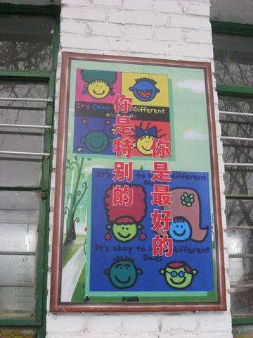 岁月对种子的承诺作文