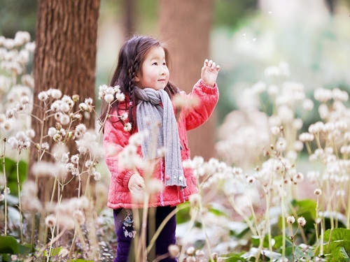 2017���������Ѧ��Ů�����ִ�ȫ