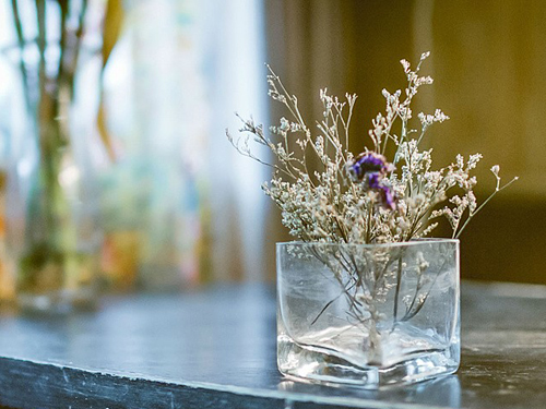 ����Ů���������ֲο���ȫ2016