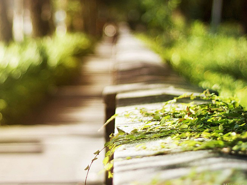 ����Ů���������ֲο���ȫ2016