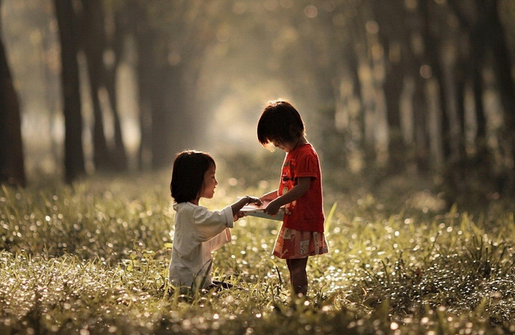 2016Ů�������Ľ�����