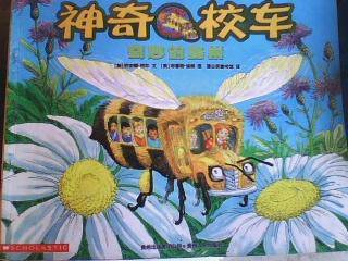 体验小蜜蜂的甜蜜生活-共读《神奇校车》系列作文
