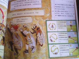 体验小蜜蜂的甜蜜生活-共读《神奇校车》系列作文