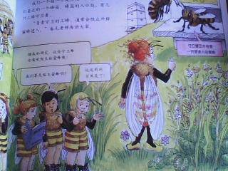 体验小蜜蜂的甜蜜生活-共读《神奇校车》系列作文