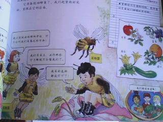体验小蜜蜂的甜蜜生活-共读《神奇校车》系列作文