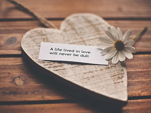 �������ɸ�Ů�����������2016