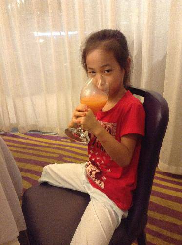 2013暑假旅游日记:1、暑假旅游——第一次坐高铁作文