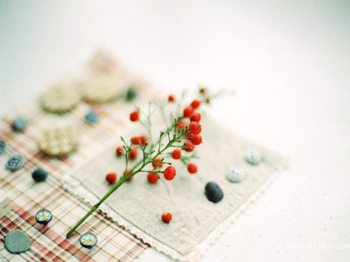 ���¼���Ů����ȡ������2017