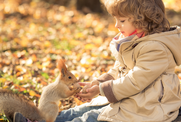 2017�ꡰ��ʱ��������Ů�����ִ�ȫ