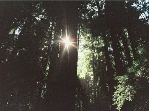 ��������Ů�������ִ�ȫ