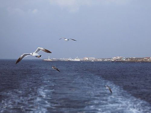 ��������Ů�������ִ�ȫ