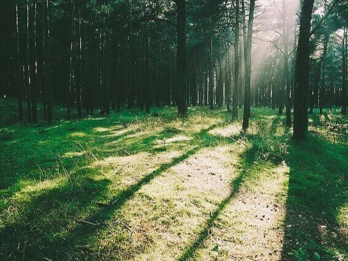 ��������Ů�������ִ�ȫ