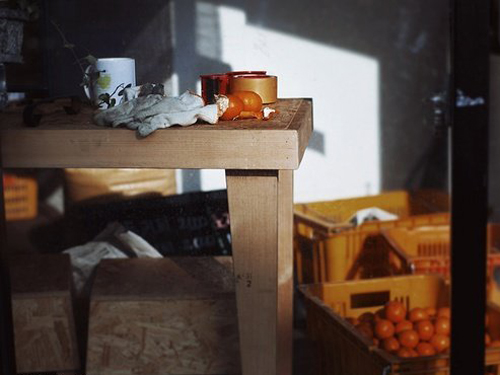 ��������Ů�������ִ�ȫ