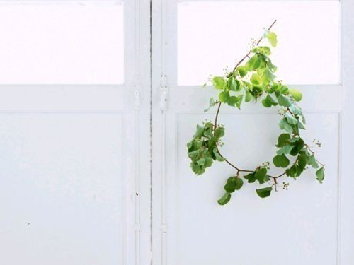 ���¼���Ů����ȡ���ؼ���