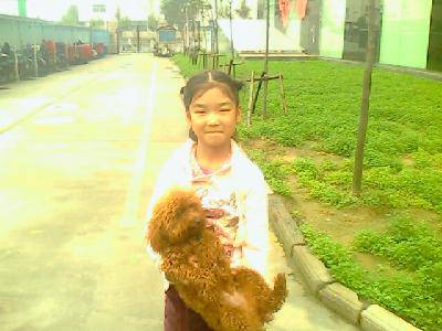 我的小伙伴作文