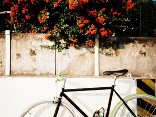 ���ò����ļ���Ů�������ִ�ȫ